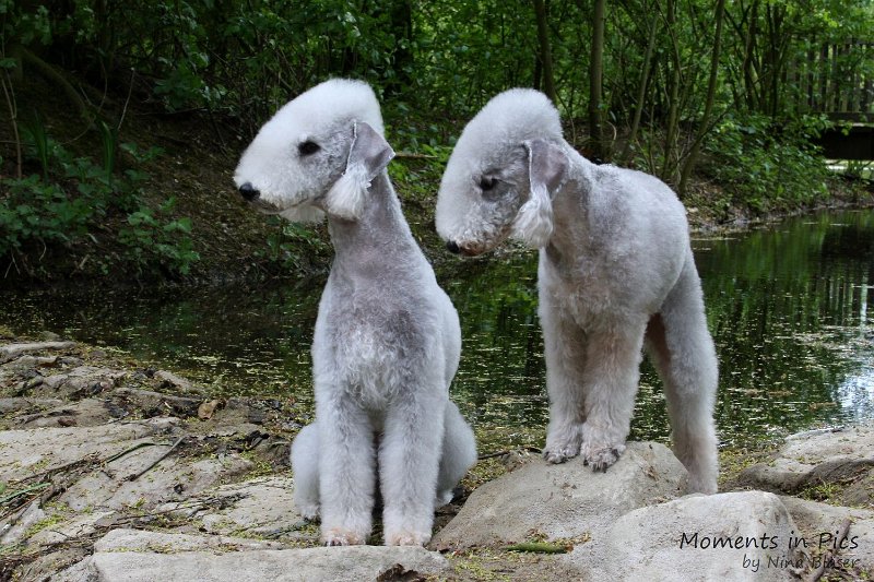 2010-05-01 Svet und Aveline (27).JPG